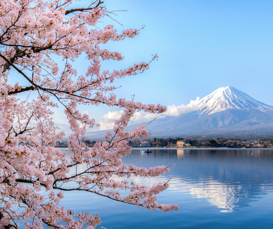 你知道你可以在一次日本旅行中享受兩個季節嗎？
