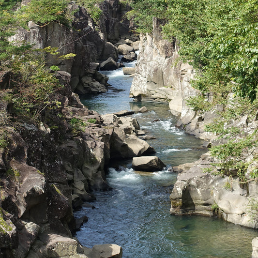 Mapping data of Google my maps (Iwate)