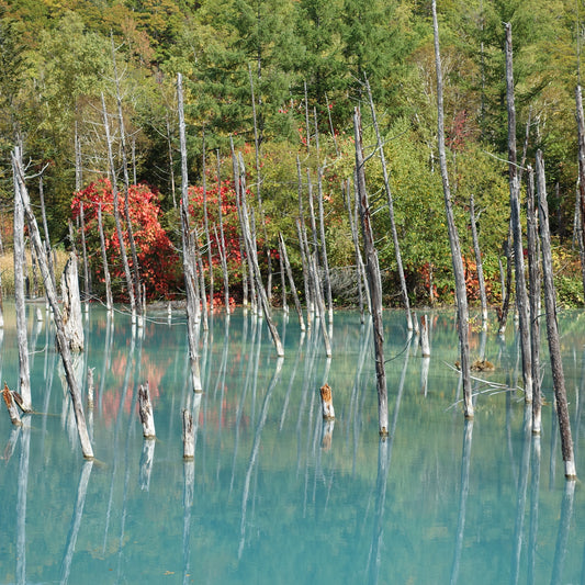 谷歌我的地圖的地圖數據（北海道）