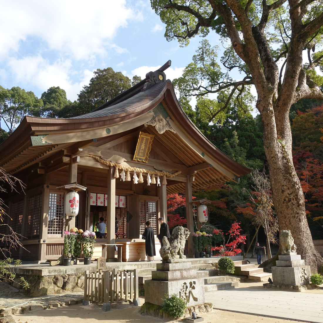 How to Learn Basic Etiquette for Visiting Shinto Shrines: "Chouzu and Praying"