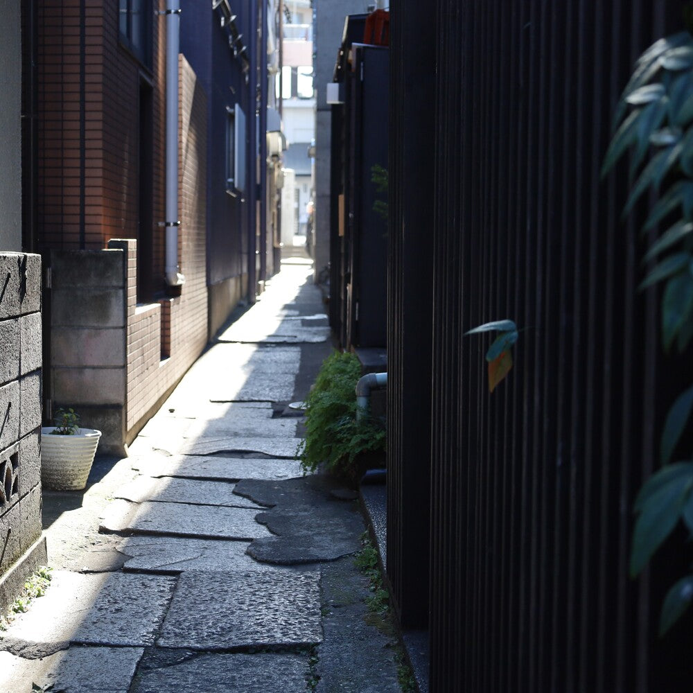 Shinjuku Convention & Visitors Bureau's Website Features the "Kagurazaka Refined Wander"