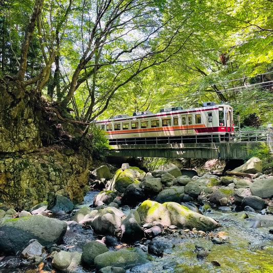 Discussions with Yagantestudo Railway on attracting foreign tourists