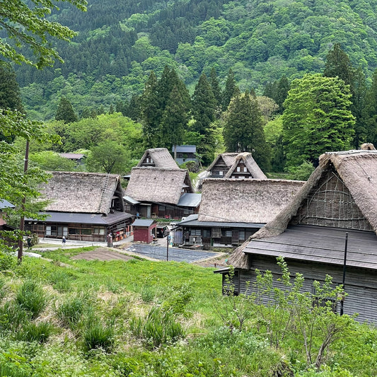 The Secret of Gassho-style Villages: Do You Know the Relationship Between "Johana" and "Gokayama," Both Highly Praised by UNESCO?